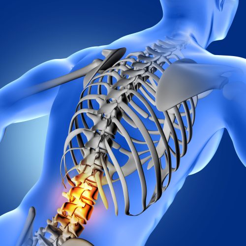 3D render of a blue medical image of male figure with lower spine highlighted